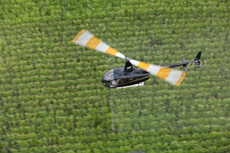Robinson R66
