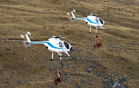 MD Helicopters 500E