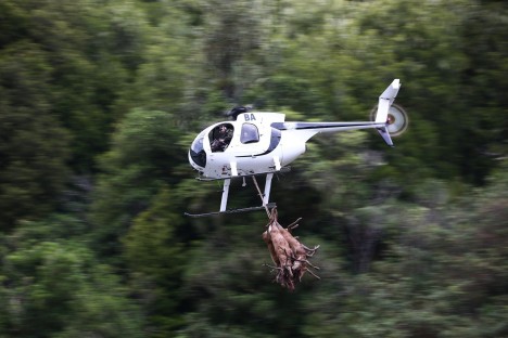 MD Helicopters 500D