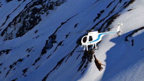 MD Helicopters 500E