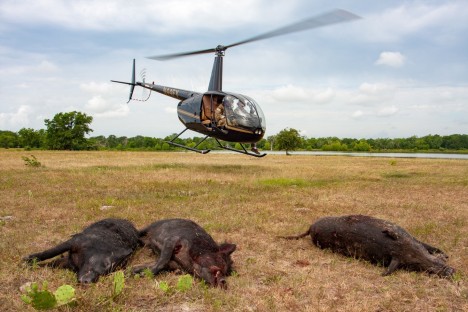 Robinson R44 Raven II