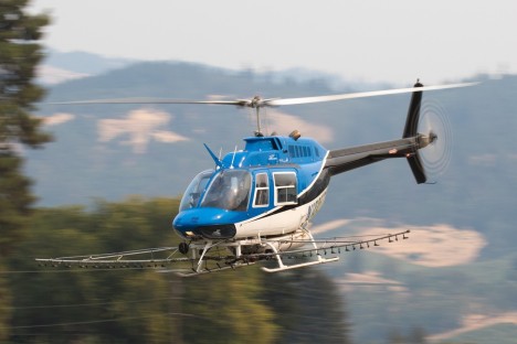 Bell Flight 206