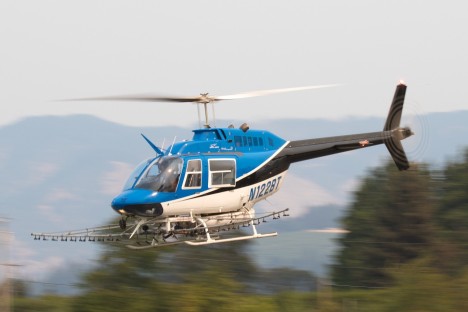 Bell Flight 206
